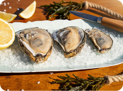 Heritage Half Shells - Heavenly Headley