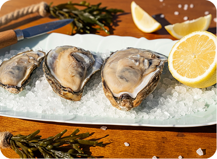 Heritage Half Shells - Sweet Sewell