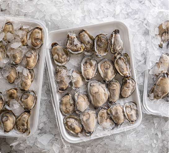 Sweet Sewell oyster tray