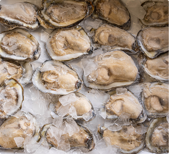 Big Lake oyster tray