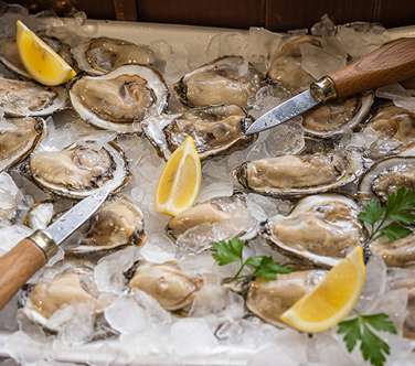 <h4>Sweet Sewell</h4>